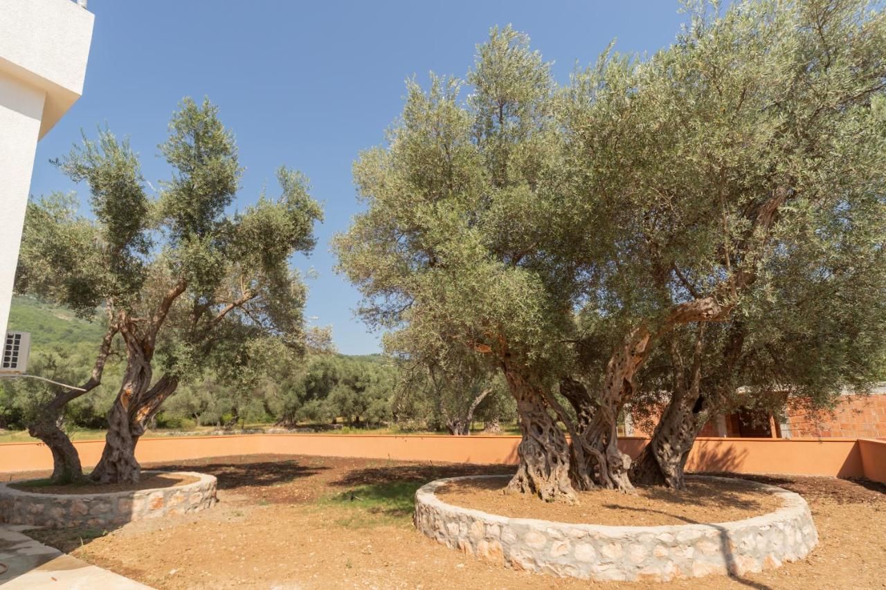 Виллы Olive Добра-Вода